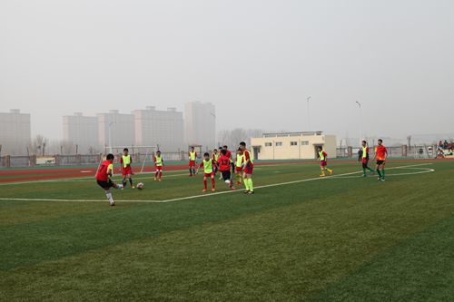 ������2017����Сѧ����������ɹ�����